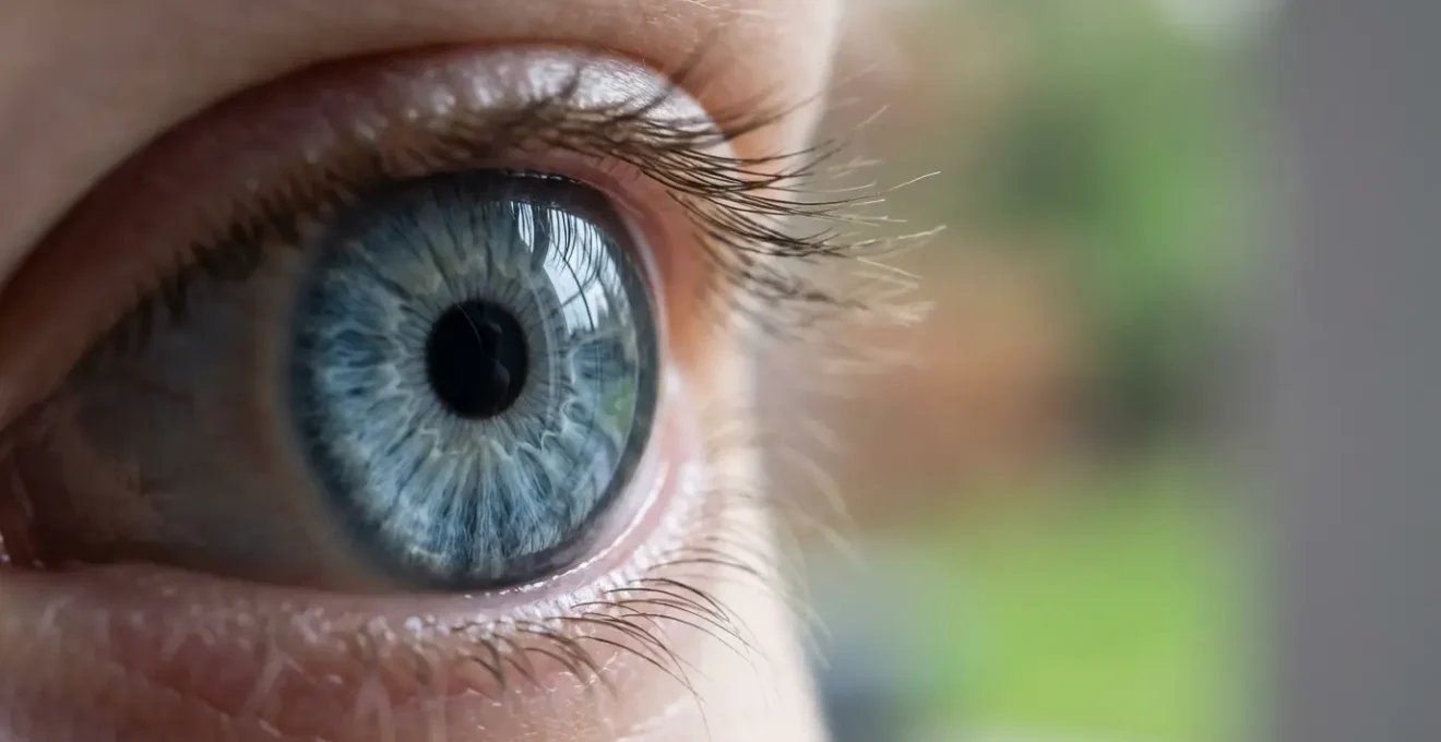 Comparaison de la perméabilité du cristallin aux UV entre enfant et adulte